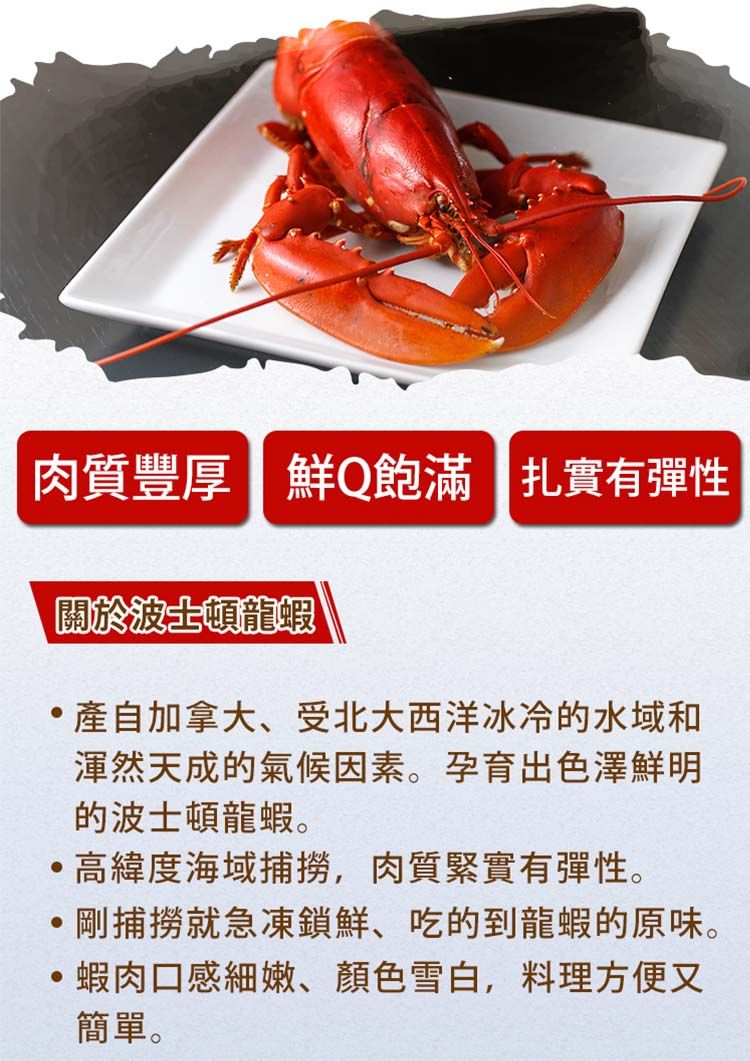 肉質豐厚┃鮮Q飽滿肉質豐厚 鮮Q飽滿 扎實有彈性關於波士頓龍蝦自加拿大、受北大西洋冰冷的水域和渾然天成的氣候因素。孕育出色澤鮮明的波士頓龍蝦。高緯度海域捕撈,肉質緊實有彈性。剛捕撈就急凍鎖鮮、吃的到龍蝦的原味。蝦肉口感細嫩、顏色雪白,料理方便又簡單。