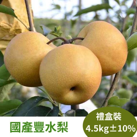 【真食材本舖 RealShop】國產豐水梨 約4.5kg/盒裝