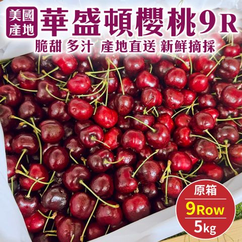 【WANG蔬果】美國華盛頓9R櫻桃(原箱5kg)